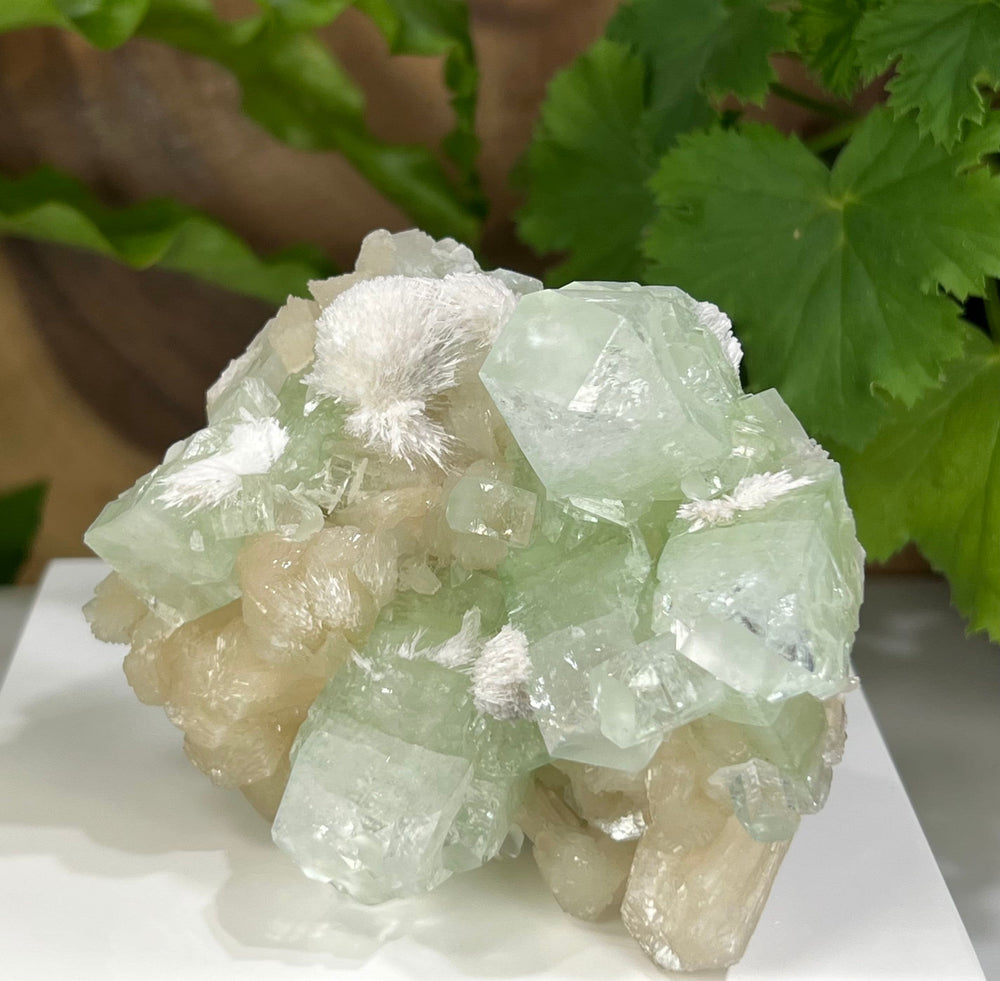 
                  
                    Load image into Gallery viewer, Green Apophyllite with Stilbite Crystals and Mordenite  from Nashik, India - Natural Perfect for Mineral Collections + Metaphysical Healing
                  
                