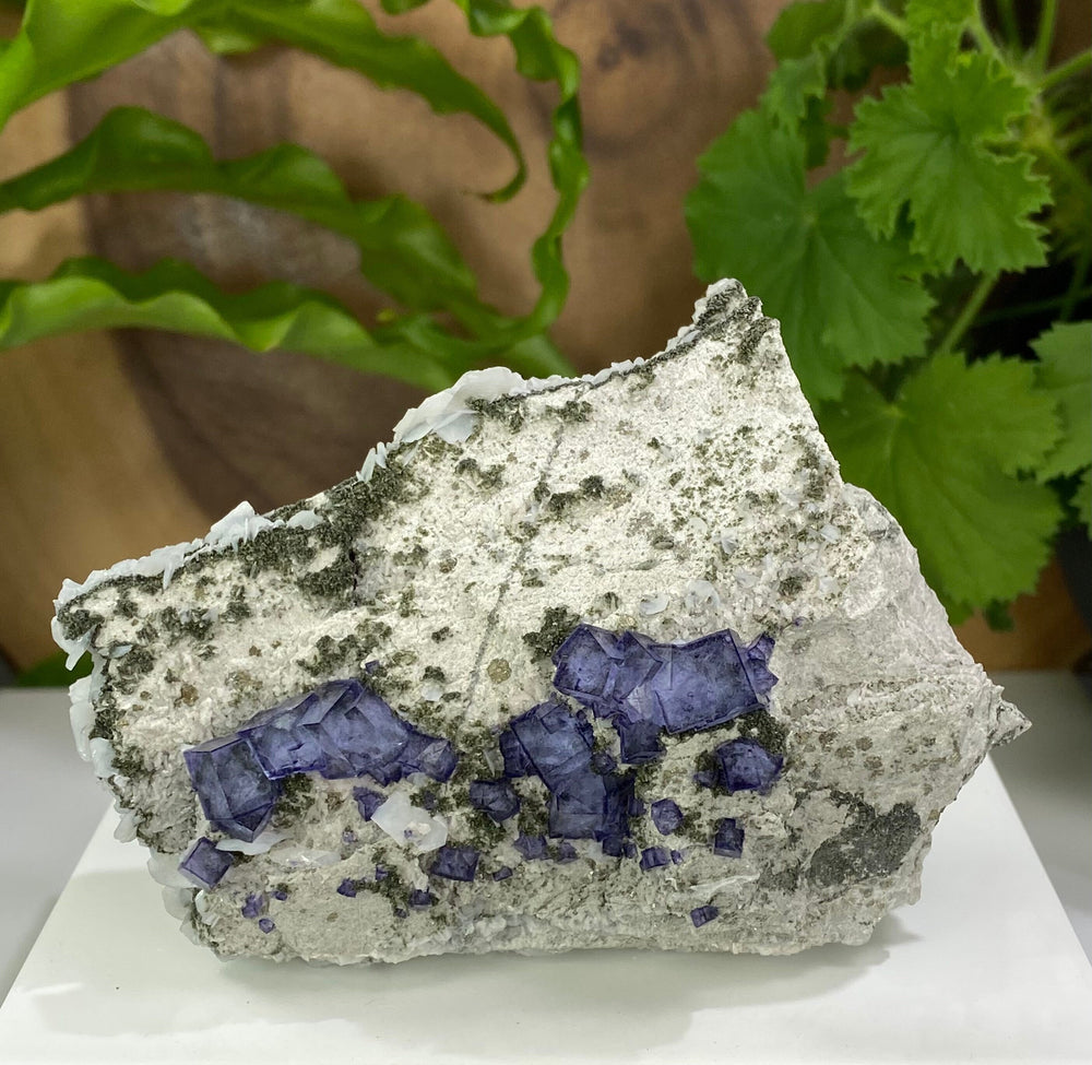 Zoned Purple Fluorite Crystals with Epidote and Bladed White Calcite - Natural Fluorescent Collectors Palm Size Mineral Display Piece