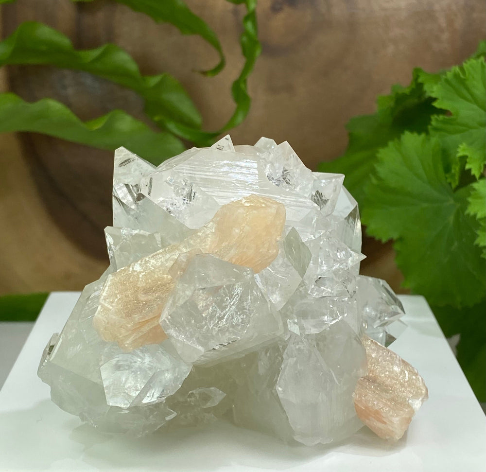Apophyllite Crystals and Druzy Stilbite with Druzy Calcite from Nashik, India - Natural Zeolite Display Piece Perfect for Mineral Collectors