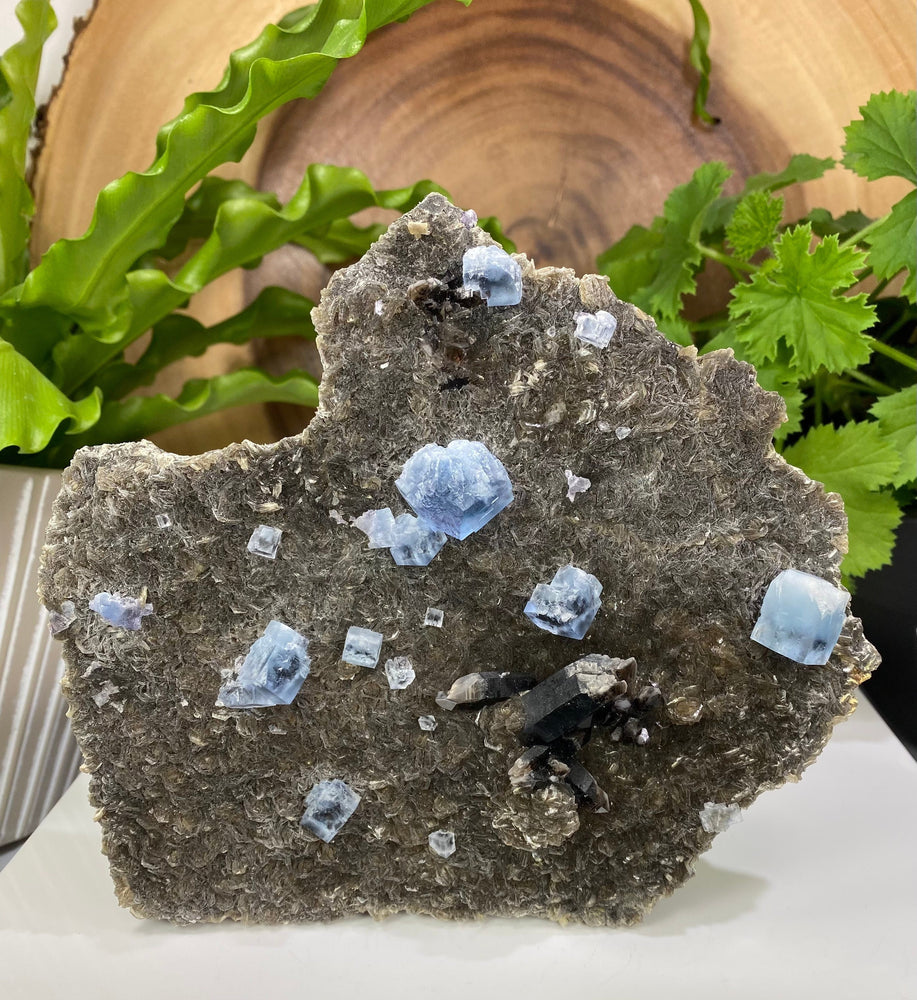 Blue Fluorite Crystals with Smoky Quartz in Matrix - Natural Beautiful Display Piece Perfect for Mineral Collectors + Metaphysical Use SALE