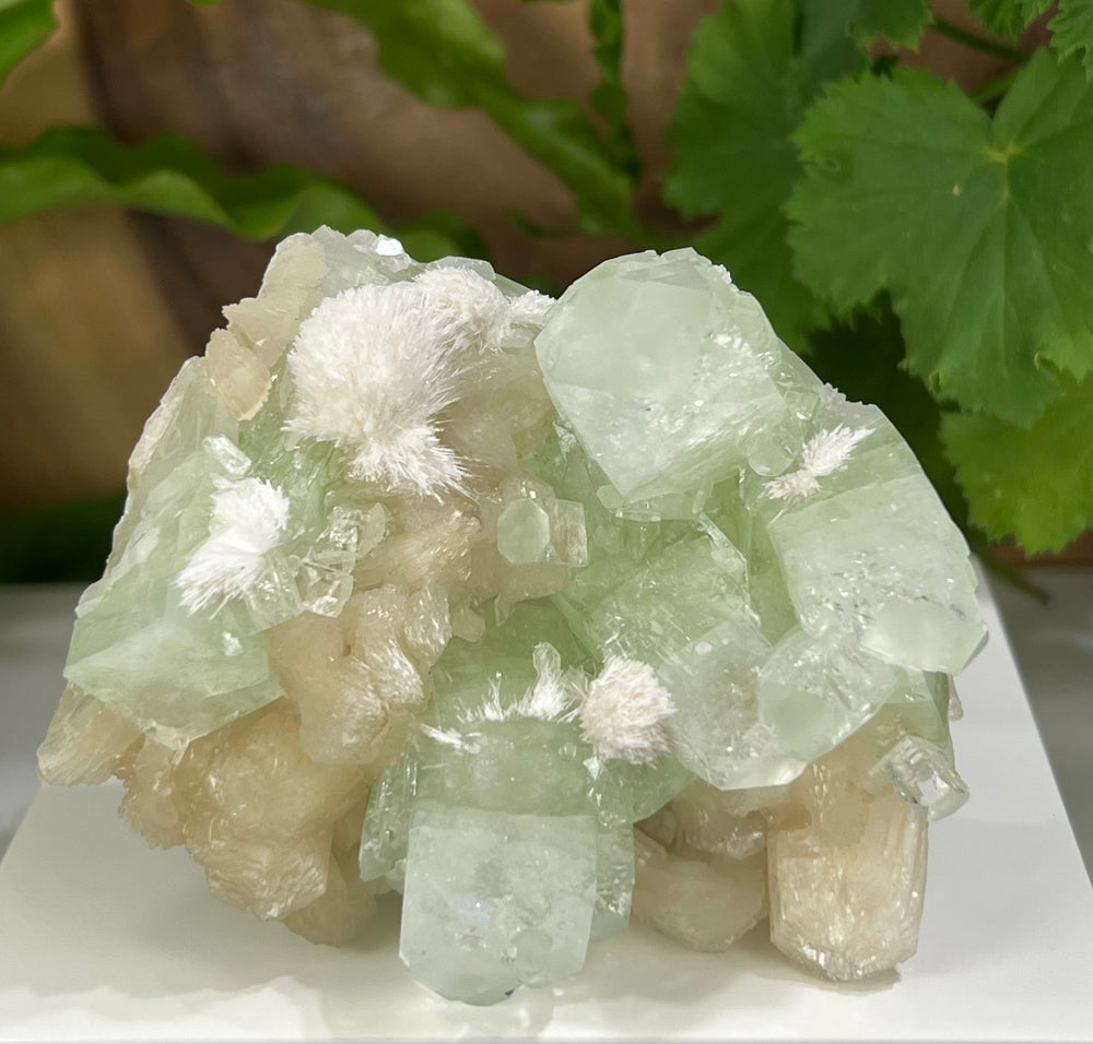 Green Apophyllite with Stilbite Crystals and Mordenite  from Nashik, India - Natural Perfect for Mineral Collections + Metaphysical Healing