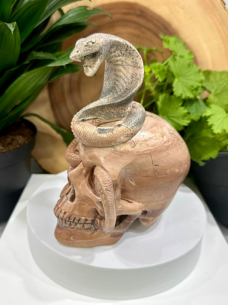 
                  
                    Load image into Gallery viewer, Painting Stone Cobra Crystal Skull Carving - Hand Craved and Polished Perfect for Mineral Collectors, Metaphysical Use, and Home Decor
                  
                