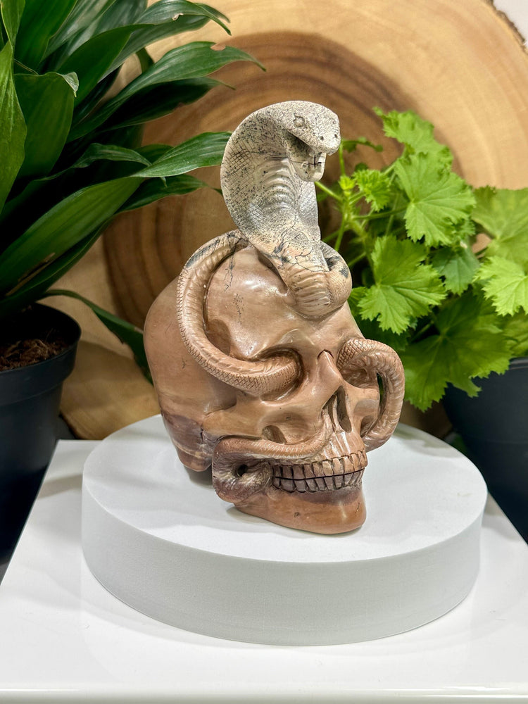 Painting Stone Cobra Crystal Skull Carving - Hand Craved and Polished Perfect for Mineral Collectors, Metaphysical Use, and Home Decor