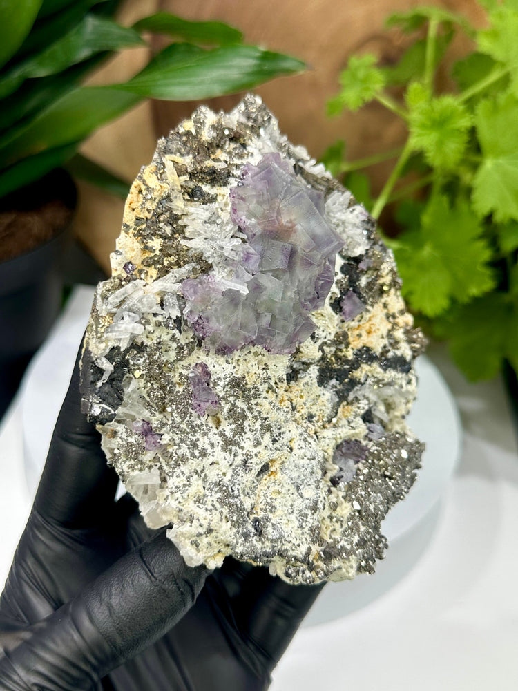 
                  
                    Load image into Gallery viewer, Blue/Green Fluorite Crystals with Unique Purple Saturation Clustered Matrix with Ferberite and Quartz from The Hunan Province - 20% OFF SALE
                  
                