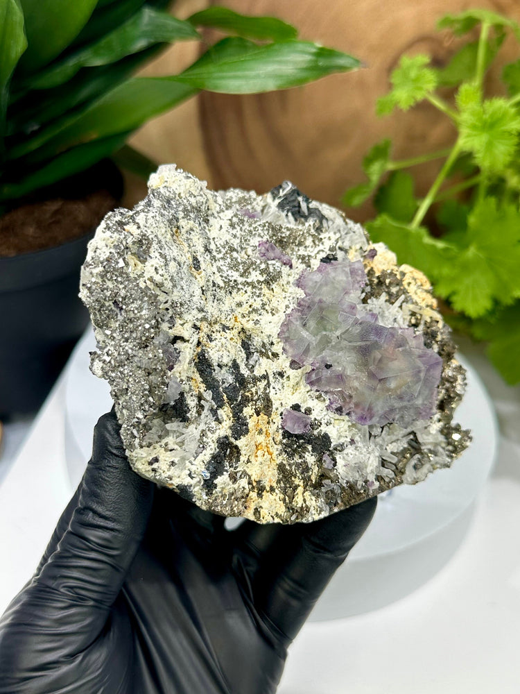 
                  
                    Load image into Gallery viewer, Blue/Green Fluorite Crystals with Unique Purple Saturation Clustered Matrix with Ferberite and Quartz from The Hunan Province - 20% OFF SALE
                  
                