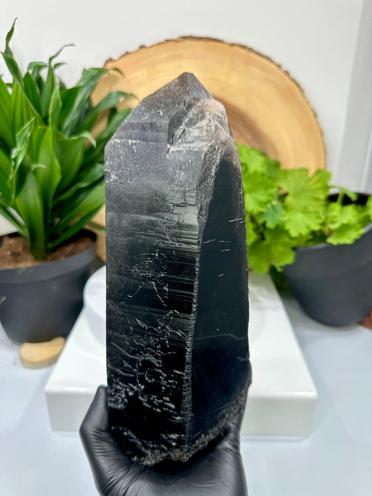 
                  
                    Load image into Gallery viewer, Black Smoky Quartz with Rutile Inclusions and Lepidolite from Minas Gerais, Brazil - Perfect for Mineral Collections + Healing 20% OFF SALE
                  
                