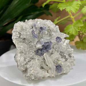 
                  
                    Load image into Gallery viewer, Fluorite Crystals with Purple Saturation Clustered on Natural Matrix with Arsenopyrite and Quartz from The Hunan Province - 20% OFF SALE
                  
                