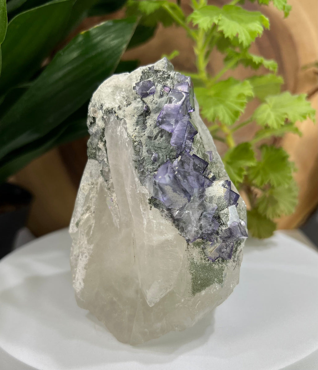 Quartz Crystal Point w/ Clusters of Zoned Purple Fluorite + Epidote, H ...