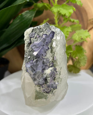 
                  
                    Load image into Gallery viewer, Quartz Crystal Point w/ Clusters of Zoned Purple Fluorite + Epidote, Hunan Province - Natural Mineral Display Piece Perfect for Collections
                  
                