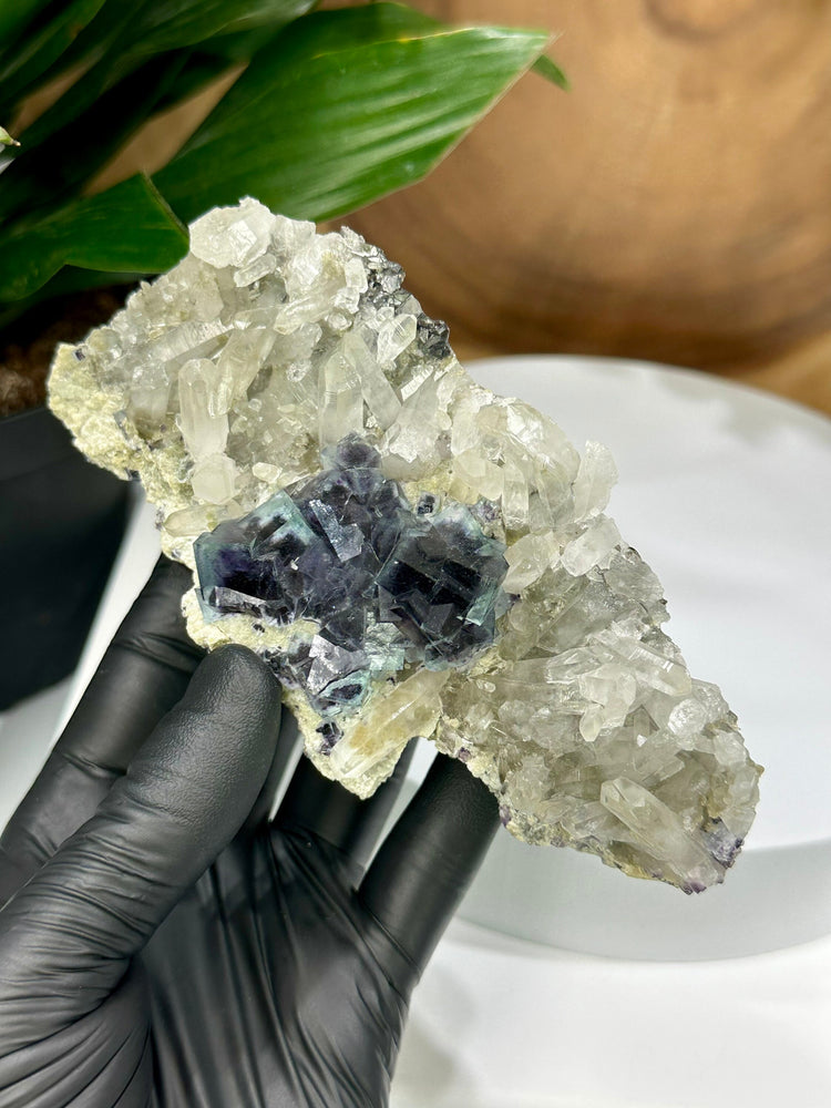 
                  
                    Load image into Gallery viewer, Cubic Blue/Green Fluorite Crystals w/ Saturated Purple Zoning + Quartz Crystals Clustered in Matrix from The Fujian Province - 20% OFF SALE
                  
                