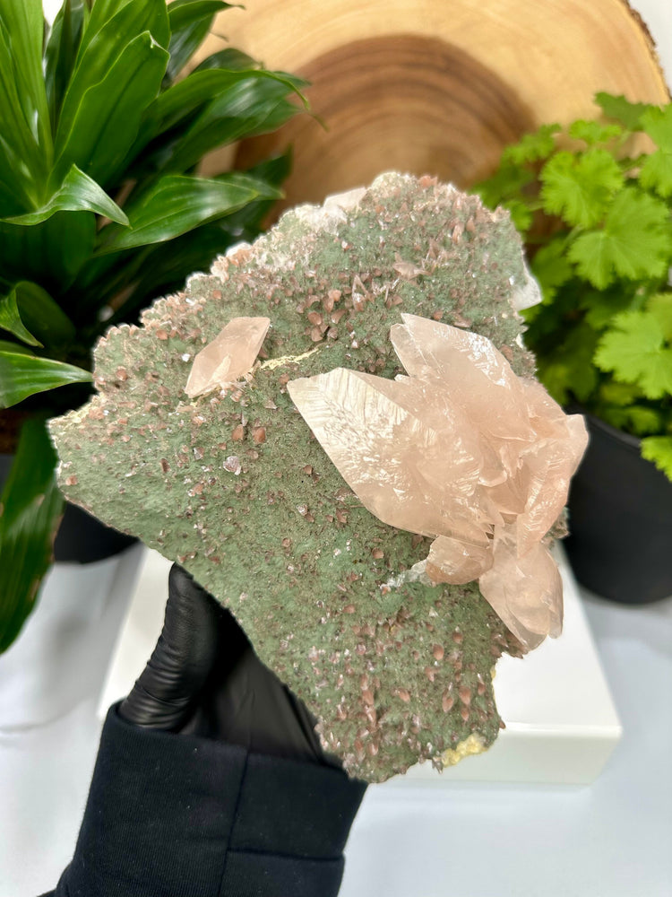 
                  
                    Load image into Gallery viewer, Fluorescent Calcite Crystals w/ Chlorite in Matrix from The Hubei Province - Natural Mineral Display Piece Perfect for Collectors + Healing
                  
                