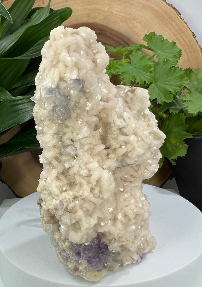 
                  
                    Load image into Gallery viewer, Purple Fluorite Crystals in Pyrite Rich Matrix from the Fujian Province - Natural Mineral Display Piece Perfect for Collectors + Metaphysics
                  
                