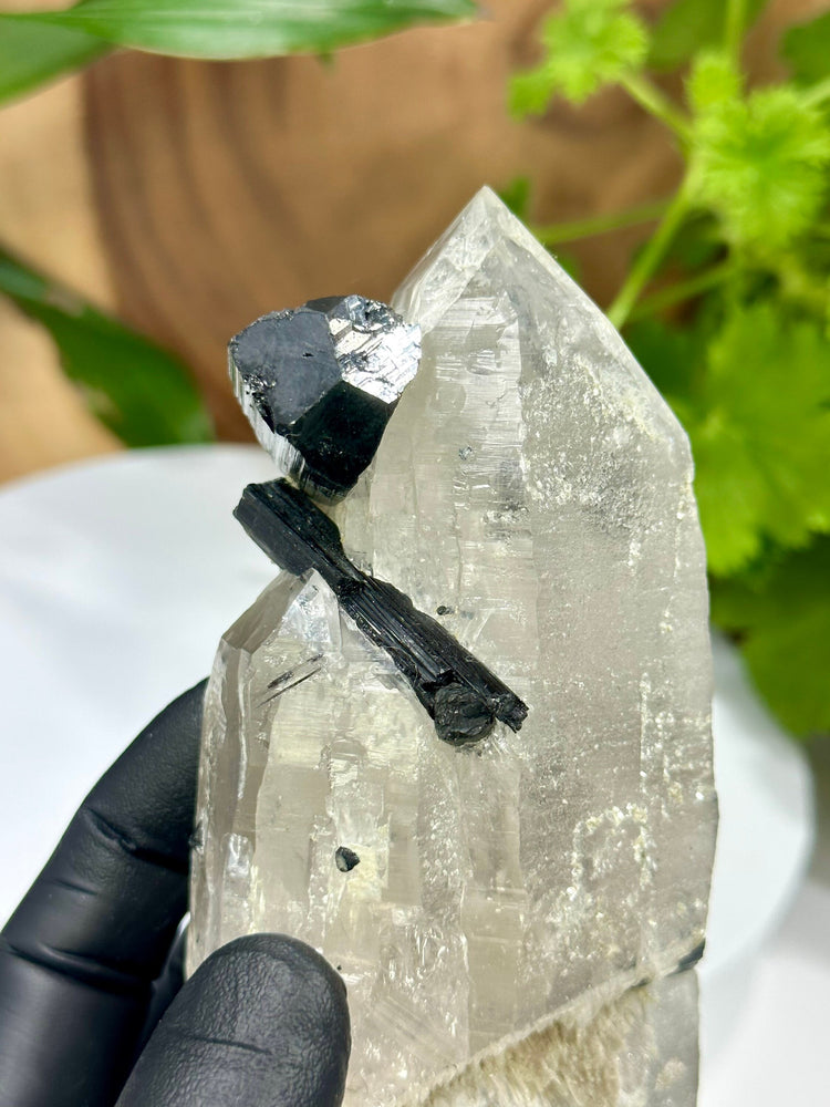 
                  
                    Load image into Gallery viewer, Black Tourmaline on Double Terminated Quartz Crystal with Micro Garnets, Cookeite, and Unique Natural Etchings from Minas Gerais, Brazil
                  
                