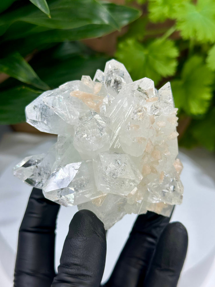 Apophylite Crystals with Peach Stilbite from Nashik India - Natural Zeolite Display Piece Perfect for Collections + Metaphysical Healing
