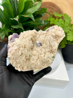 
                  
                    Load image into Gallery viewer, Purple Fluorite Crystals in Pyrite Rich Matrix from the Fujian Province - Natural Mineral Display Piece Perfect for Collectors + Metaphysics
                  
                