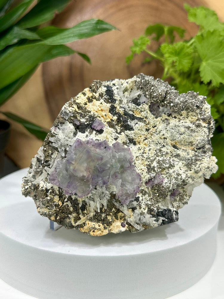 Blue/Green Fluorite Crystals with Unique Purple Saturation Clustered Matrix with Ferberite and Quartz from The Hunan Province - 20% OFF SALE