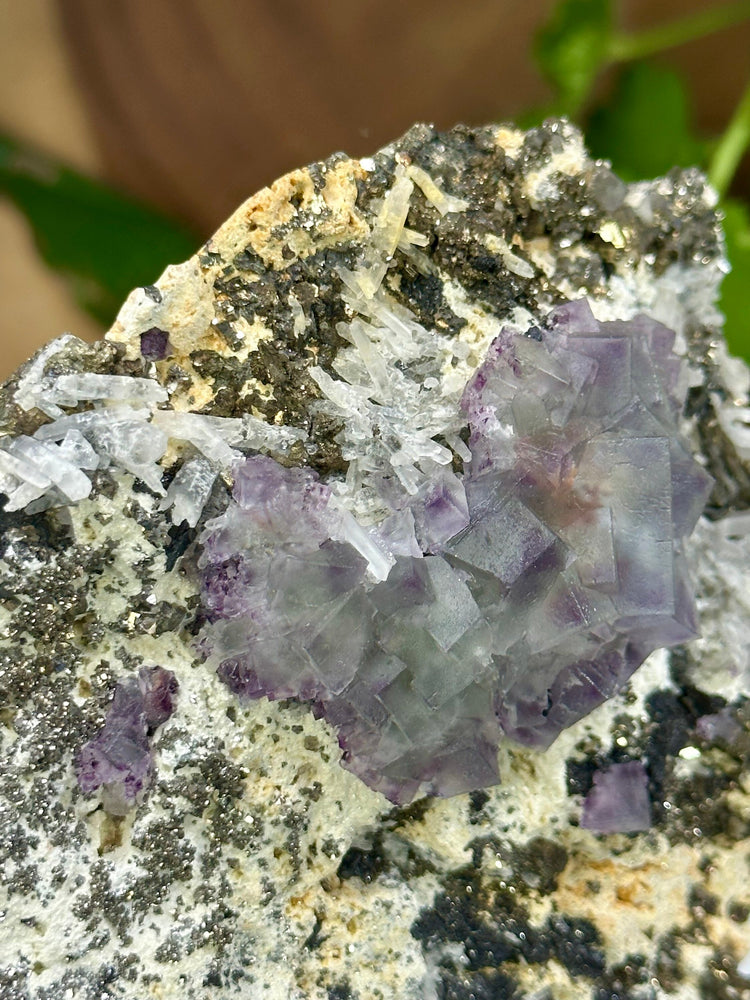 
                  
                    Load image into Gallery viewer, Blue/Green Fluorite Crystals with Unique Purple Saturation Clustered Matrix with Ferberite and Quartz from The Hunan Province - 20% OFF SALE
                  
                