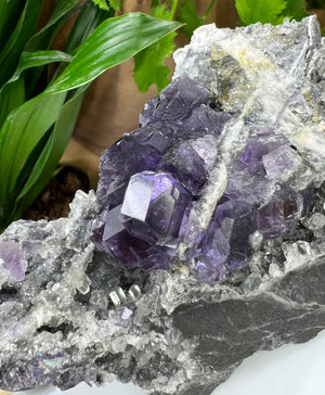 
                  
                    Load image into Gallery viewer, Purple Fluorite Clusters with Terminated Columnar Calcite Crystals in Matrix from the Hunan Province - Natural Mineral Collectors Piece SALE
                  
                