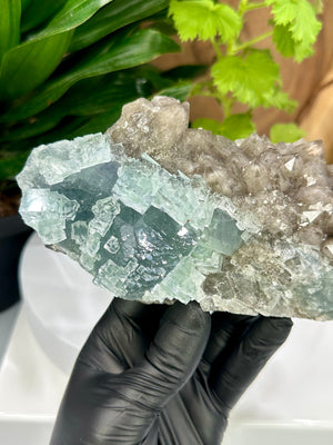 
                  
                    Load image into Gallery viewer, Cubic Green Fluorite Crystals on Smoky Quartz Cluster Matrix (Xianghualing Mine) - Natural Mineral Display Piece Perfect for Collectors
                  
                