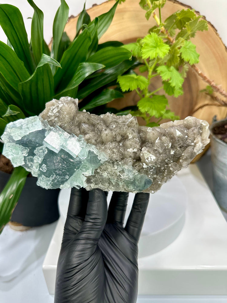 Cubic Green Fluorite Crystals on Smoky Quartz Cluster Matrix (Xianghualing Mine) - Natural Mineral Display Piece Perfect for Collectors