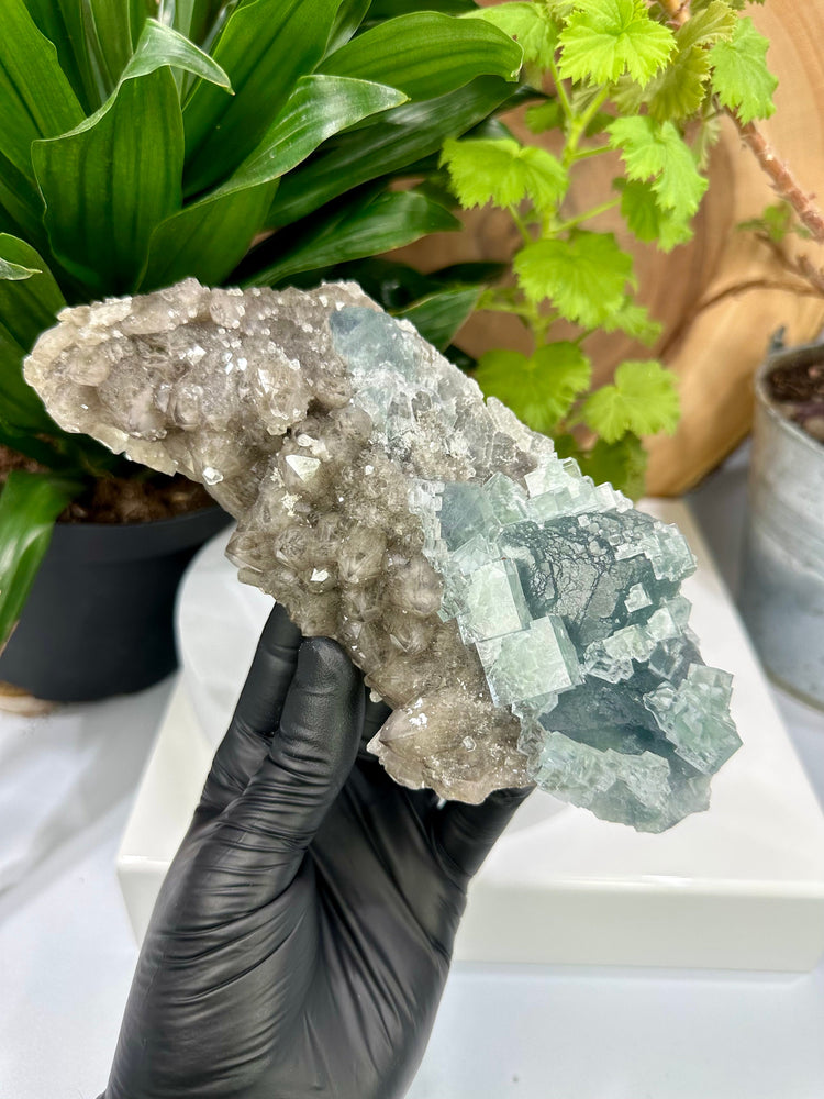 
                  
                    Load image into Gallery viewer, Cubic Green Fluorite Crystals on Smoky Quartz Cluster Matrix (Xianghualing Mine) - Natural Mineral Display Piece Perfect for Collectors
                  
                