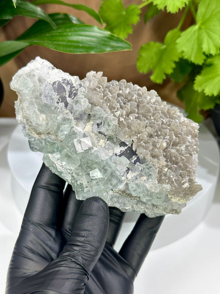 
                  
                    Load image into Gallery viewer, Glassy Green Cubic Fluorite Crystals w/ Octahedral Fluorite and Smoky Quartz from The Xianghualing Mine - Natural Mineral Display Piece SALE
                  
                