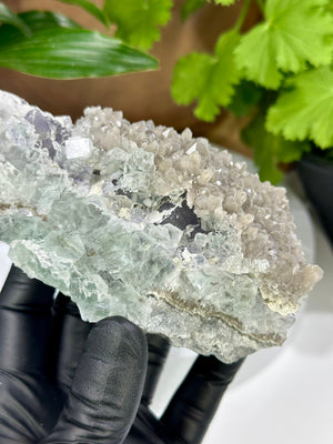 
                  
                    Load image into Gallery viewer, Glassy Green Cubic Fluorite Crystals w/ Octahedral Fluorite and Smoky Quartz from The Xianghualing Mine - Natural Mineral Display Piece SALE
                  
                
