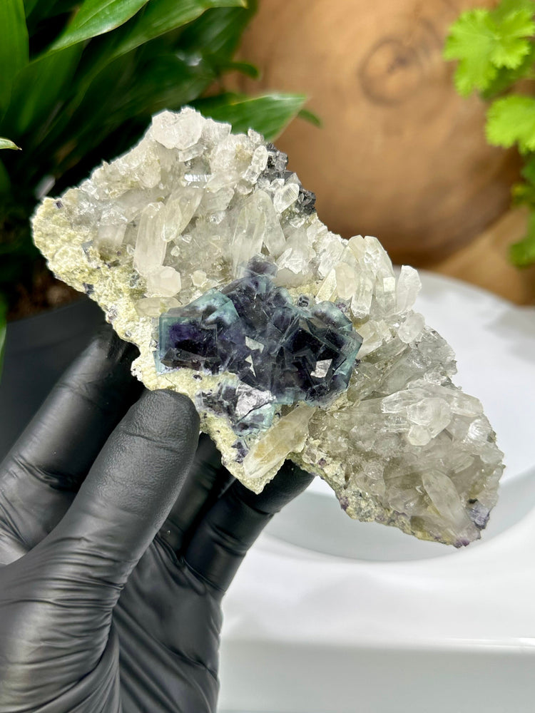 
                  
                    Load image into Gallery viewer, Cubic Blue/Green Fluorite Crystals w/ Saturated Purple Zoning + Quartz Crystals Clustered in Matrix from The Fujian Province - 20% OFF SALE
                  
                