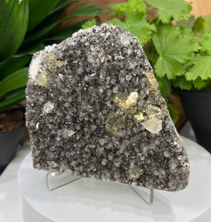 
                  
                    Load image into Gallery viewer, Included Calcite Crystals w/ Clear Calcite + Golden Pyrite in Matrix, Inner Mongolia - Natural Mineral Display Piece Perfect for Collectors
                  
                