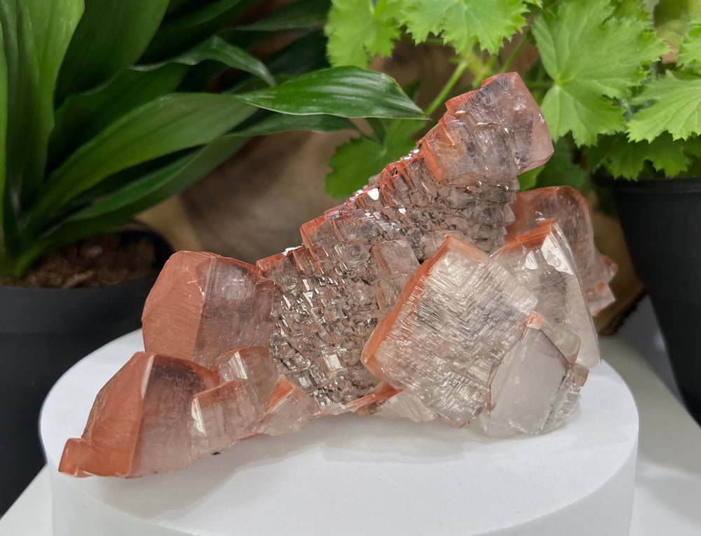 
                  
                    Load image into Gallery viewer, Hematite Included Elestial Calcite Crystal Cluster from The Daye Mine, Hubei Province - Natural Mineral Display Piece Perfect for Collectors
                  
                