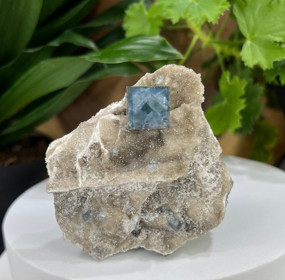 Blue Fluorite with Druzy Chalcedony from The Hunan Province- Natural Mineral Display Piece Perfect for Collectors + Metaphysical Use 20% OFF