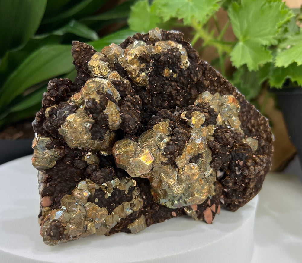 Rare Botryoidal Goethite with Iridescent Pyrite Crystals and Calcite from Hubei Province - Perfect for Mineral Collectors + Healing 20% OFF