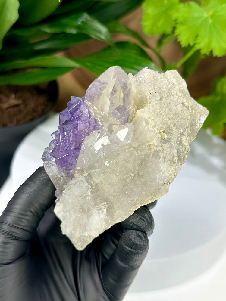 
                  
                    Load image into Gallery viewer, Purple Fluorite Crystals on Elestial Quartz from the Fujian Province - Natural Mineral Display Piece Perfect for Collectors + Metaphysics
                  
                