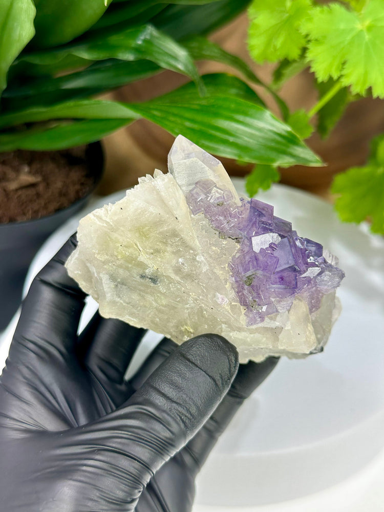 
                  
                    Load image into Gallery viewer, Purple Fluorite Crystals on Elestial Quartz from the Fujian Province - Natural Mineral Display Piece Perfect for Collectors + Metaphysics
                  
                