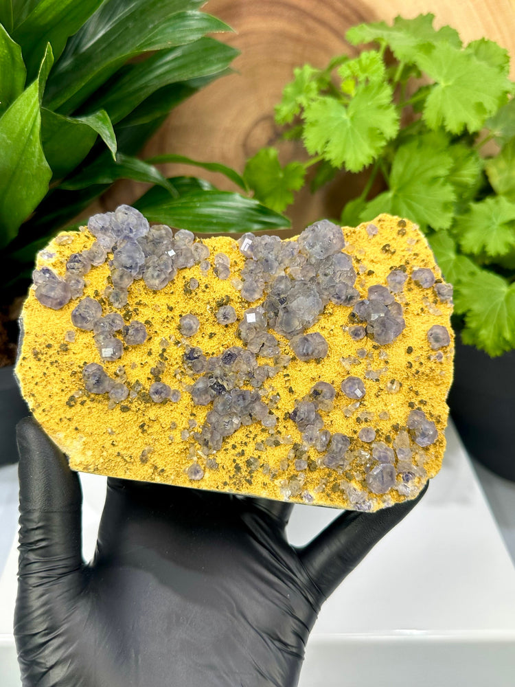 
                  
                    Load image into Gallery viewer, Purple Fluorite Crystals with Siderite and Quartz from The Yaogangxian Mine, Hunan Province - Perfect for Mineral Collectors 20% OFF SALE
                  
                