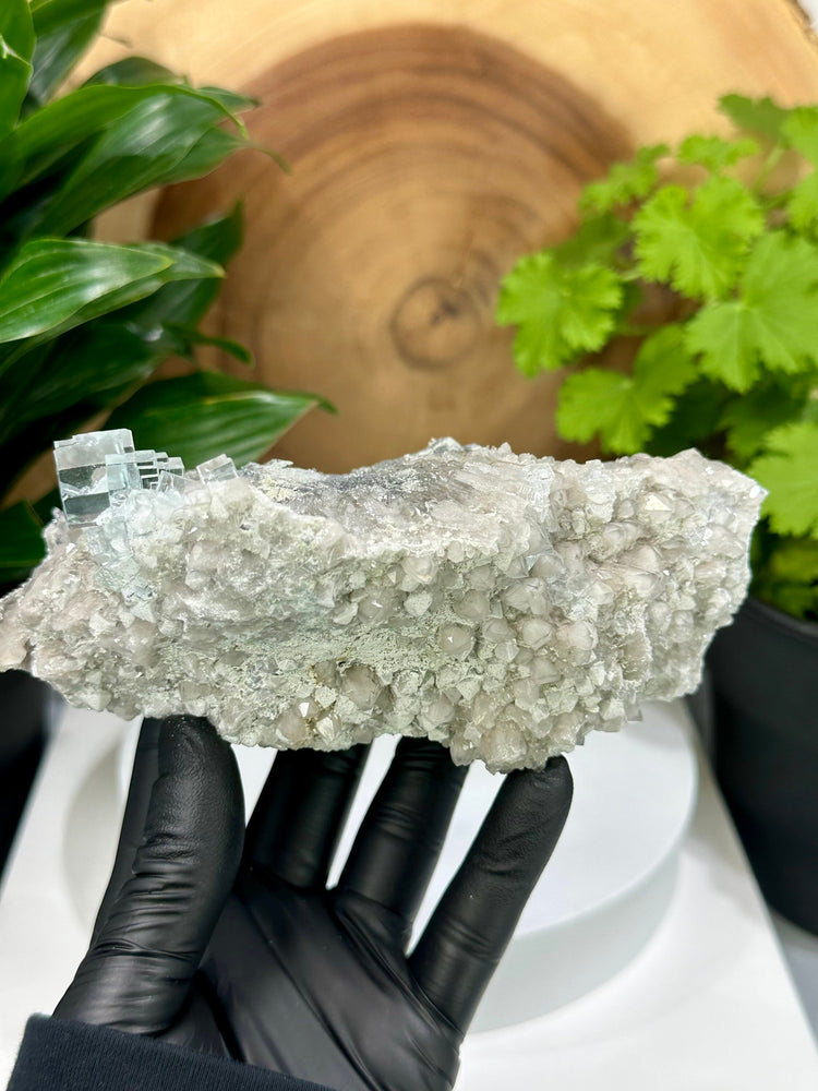 
                  
                    Load image into Gallery viewer, Clear Green Cubic Fluorite on Smoky Quartz Crystal Cluster from The Xianghualing Mine - Natural Mineral Display Piece Perfect for Collectors
                  
                