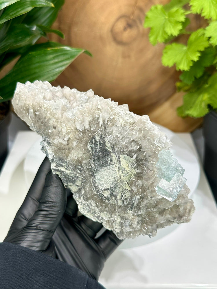 
                  
                    Load image into Gallery viewer, Clear Green Cubic Fluorite on Smoky Quartz Crystal Cluster from The Xianghualing Mine - Natural Mineral Display Piece Perfect for Collectors
                  
                