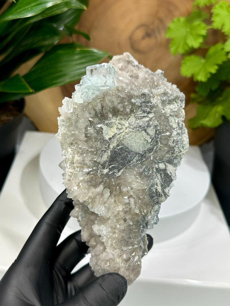 
                  
                    Load image into Gallery viewer, Clear Green Cubic Fluorite on Smoky Quartz Crystal Cluster from The Xianghualing Mine - Natural Mineral Display Piece Perfect for Collectors
                  
                