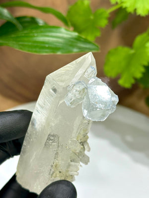 
                  
                    Load image into Gallery viewer, Terminated Quartz Crystal with Light Blue Fluorite from the Hunan Province - Natural Mineral Display Piece Perfect for Collectors + Healing
                  
                