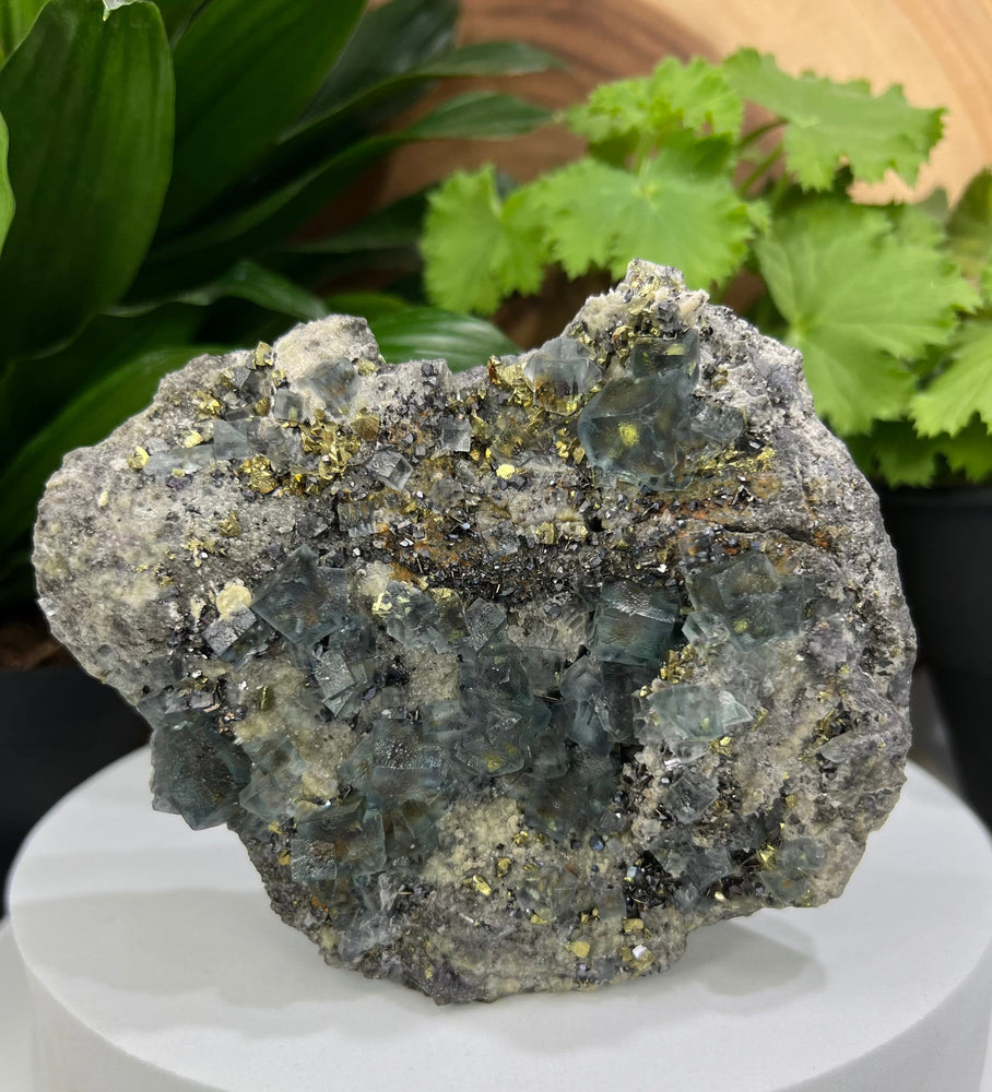 Fluorite Crystals and Pyrite in Mineral Rich Matrix from The Hunan Province - Natural Display Piece Perfect for Collectors + Healing 20% OFF