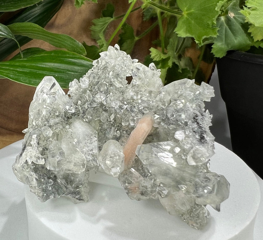 
                  
                    Load image into Gallery viewer, Apophyllite Crystals w/ Druzy Peach Stilbite + Chalcedony from Nashik India - Natural Mineral Display Piece Perfect for Collectors + Healing
                  
                