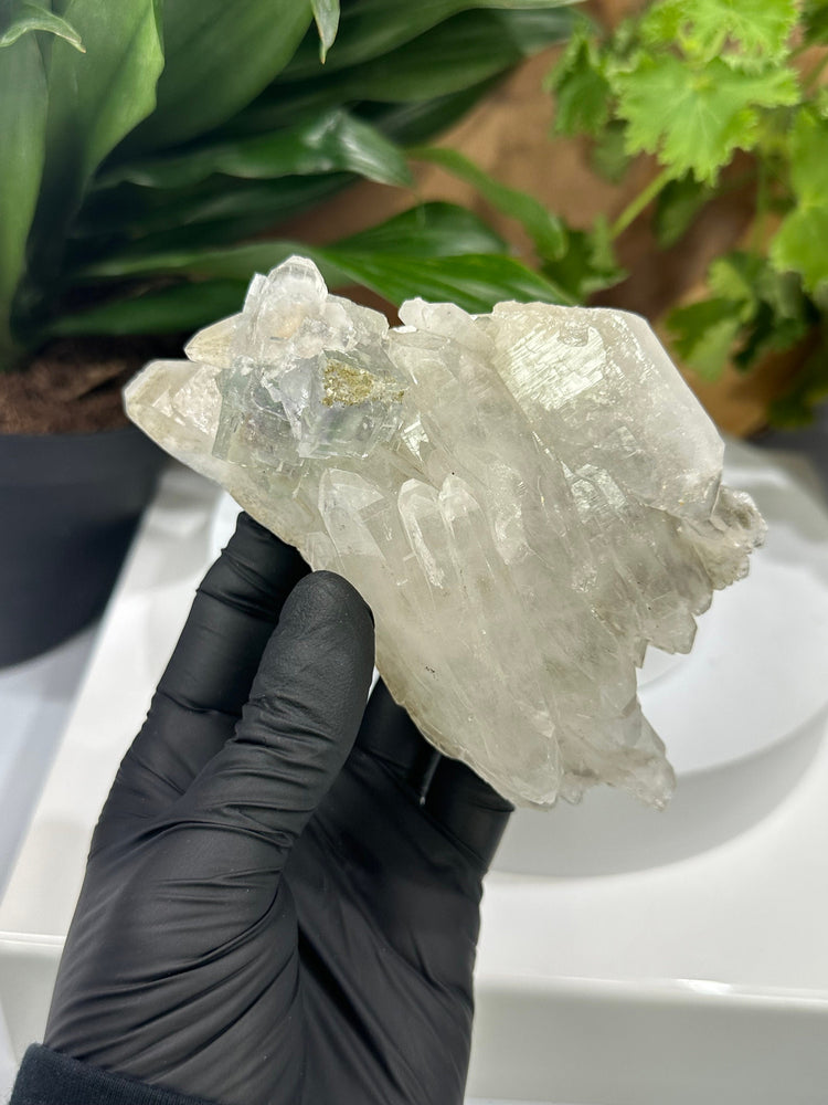 
                  
                    Load image into Gallery viewer, Fluorite Crystals on Terminated Quartz Cluster from The Hunan Province - Natural Mineral Display Piece Perfect for Collections - 20%OFF SALE
                  
                