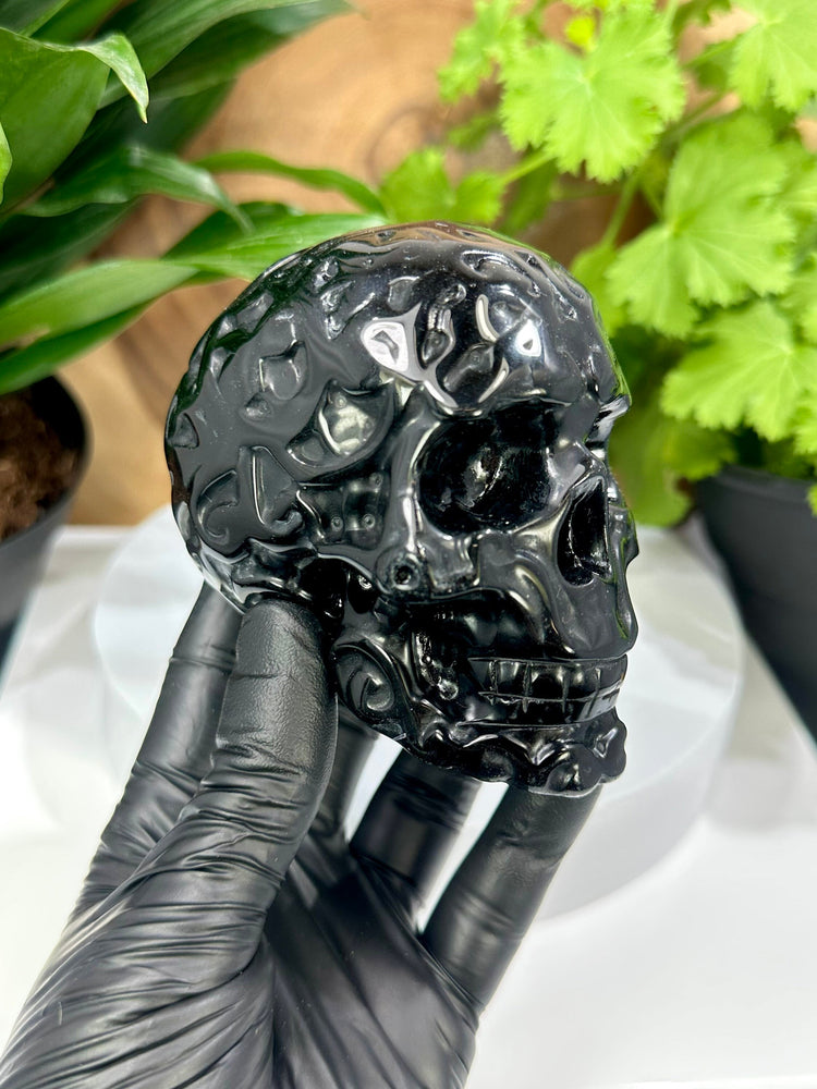 Black Obsidian Crystal Skull w/ Unique Etchings - Carved by Hand Perfect for Mineral Collectors, Metaphysical Use, and Home Decor - 20% OFF