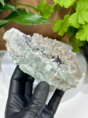 
                  
                    Load image into Gallery viewer, Glassy Green Cubic Fluorite Crystals w/ Octahedral Fluorite and Smoky Quartz from The Xianghualing Mine - Natural Mineral Display Piece SALE
                  
                