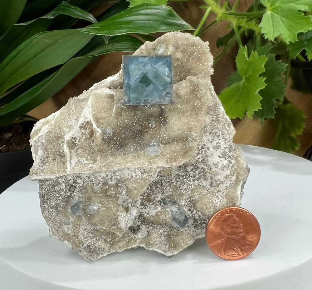 
                  
                    Load image into Gallery viewer, Blue Fluorite with Druzy Chalcedony from The Hunan Province- Natural Mineral Display Piece Perfect for Collectors + Metaphysical Use 20% OFF
                  
                