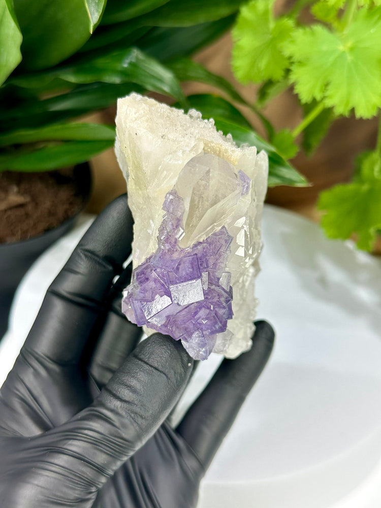 
                  
                    Load image into Gallery viewer, Purple Fluorite Crystals on Elestial Quartz from the Fujian Province - Natural Mineral Display Piece Perfect for Collectors + Metaphysics
                  
                