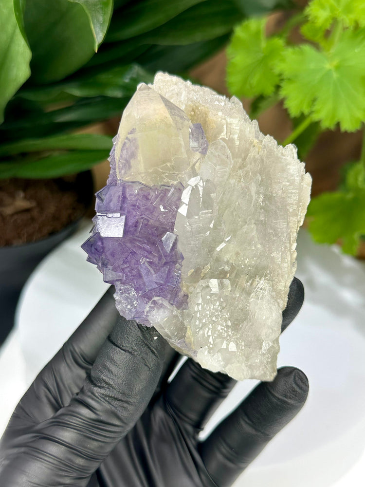 
                  
                    Load image into Gallery viewer, Purple Fluorite Crystals on Elestial Quartz from the Fujian Province - Natural Mineral Display Piece Perfect for Collectors + Metaphysics
                  
                