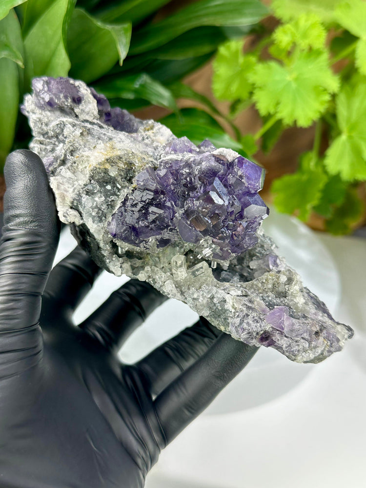 
                  
                    Load image into Gallery viewer, Purple Fluorite Clusters with Terminated Columnar Calcite Crystals in Matrix from the Hunan Province - Natural Mineral Collectors Piece SALE
                  
                