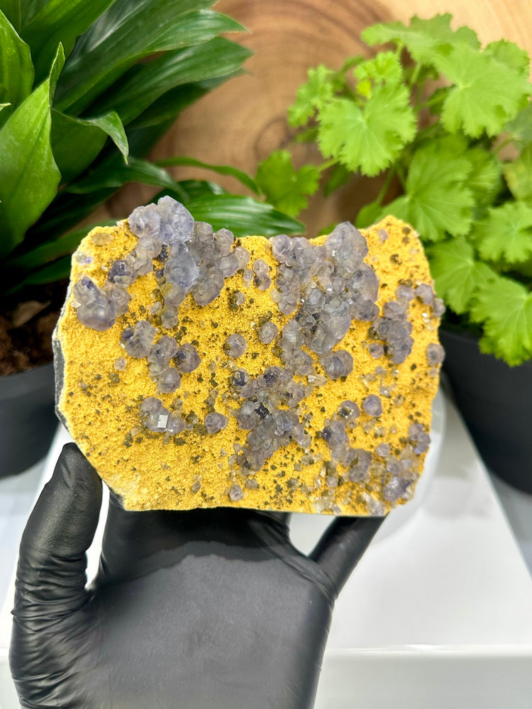 
                  
                    Load image into Gallery viewer, Purple Fluorite Crystals with Siderite and Quartz from The Yaogangxian Mine, Hunan Province - Perfect for Mineral Collectors 20% OFF SALE
                  
                