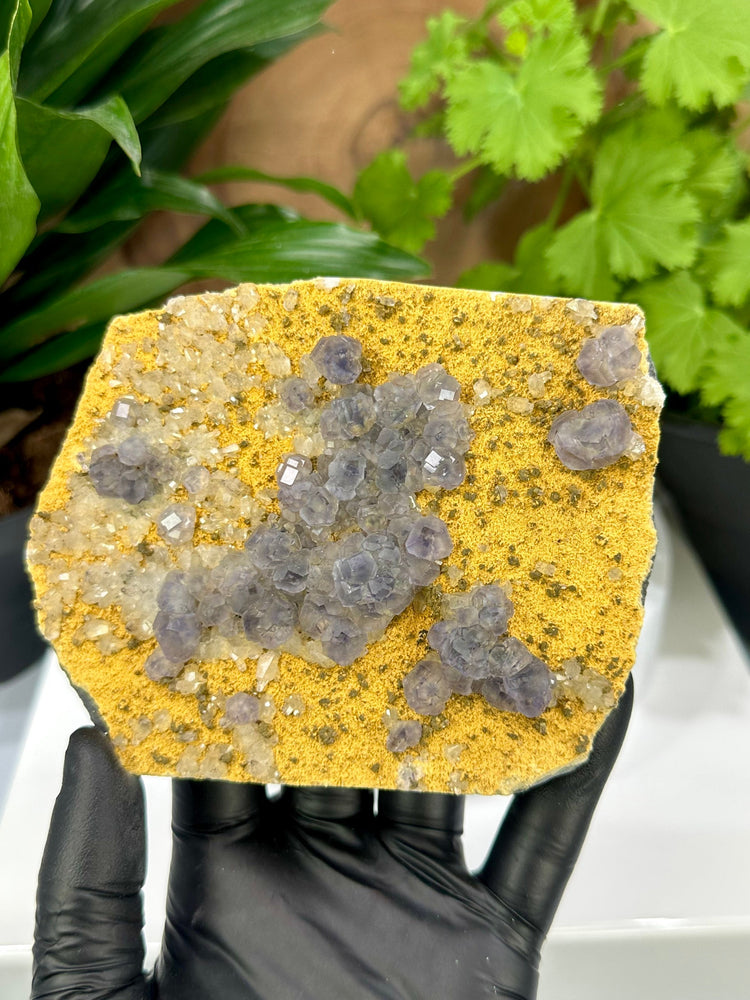 Purple Fluorite Crystals with Siderite and Quartz from The Yaogangxian Mine, Hunan Province - Perfect for Mineral Collectors 20% OFF SALE